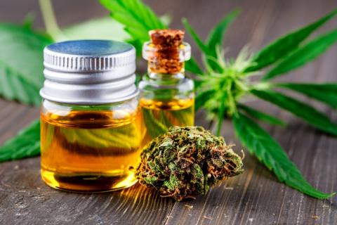 CBD et fleurs de chanvre : enfin légal en France ?